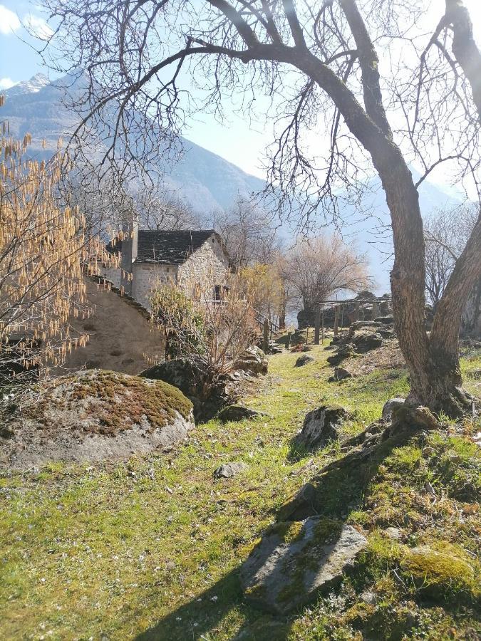 Casa Belgeri - Bed & Breakfast Dongio Экстерьер фото